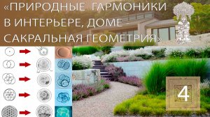 Сакральная геометрия - гармоники в природе, архитектуре, науке и искусстве.