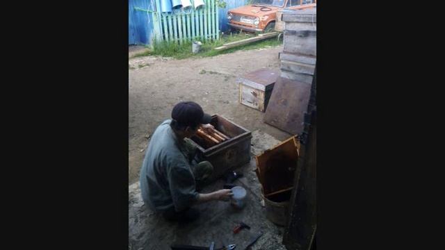 Как сделать 100% ловушку для пчёл. Ловли пчёл смотреть онлайн