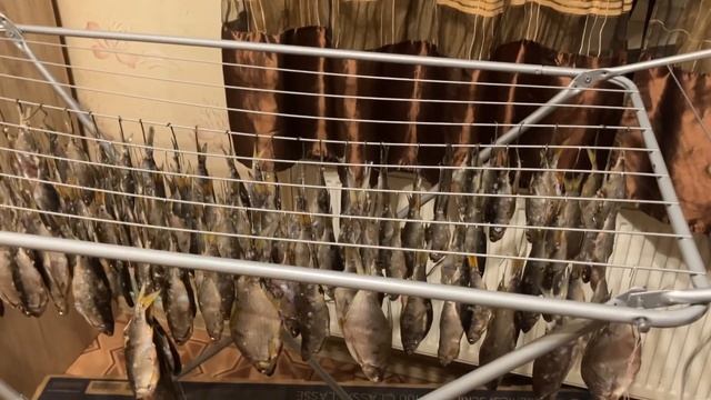 Как вялить, сушить рыбу в домашних-комнатных условиях смотреть онлайн