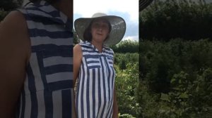 Малина в нашем питомнике