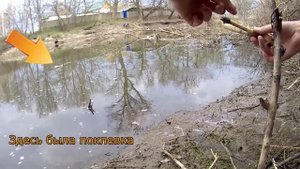 Эпичная поклевка щуки. Ловля плотвы и голавля.