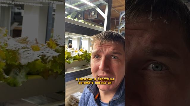 Перепутал салаты