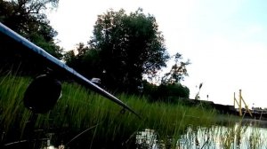Огромные караси на Дону на боковой кивок + рыбалка на озере на поплавок
