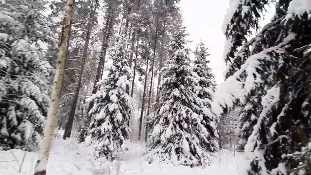 Фотоссесия от мужа...🙈 и немного Зимней сказки!❄🎄/Прогулка зимой!👍😄#влогдомохозяйки #зимняяпрогулка