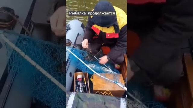 Рыбалка продолжается.