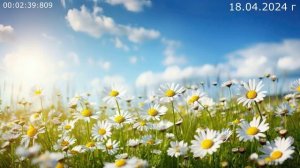 906 Новенький 18.04.2024 г