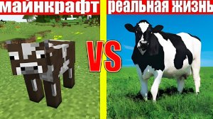 МАЙНКРАФТ ПРОТИВ РЕАЛЬНОЙ ЖИЗНИ  MINECRAFT VS REAL LIFE