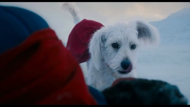 Супермен — Официальный трейлер (4К, 2025) смотреть онлайн