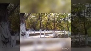 прогулка по городу зашли в магазин