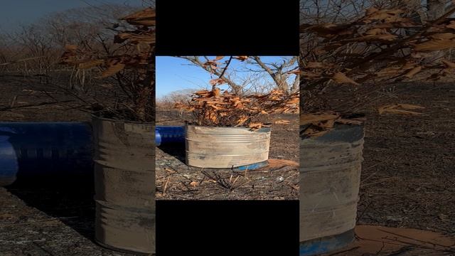 🍁Утилизация мусора.🍂🔥
