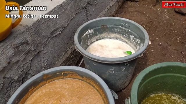 AMBIL SESUAI KEBUTUHAN: Alasan saya membuat poc secara terpisah