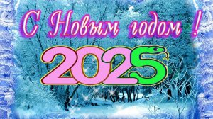 С Новым Годом2025 !