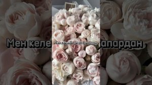 Ай, Фарида Фарида ТЕКСТ ПЕСНИ