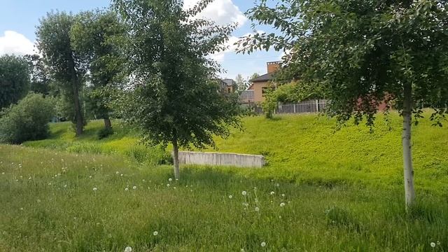 Лена и Ваня LIFE / Тема ноги продолжает монетизироваться! Можно ли верить Лене?! / Обзор влогов