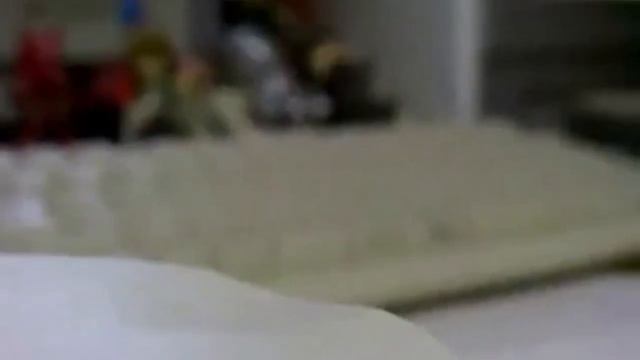 Три в одном: птица - мышь - хомяк