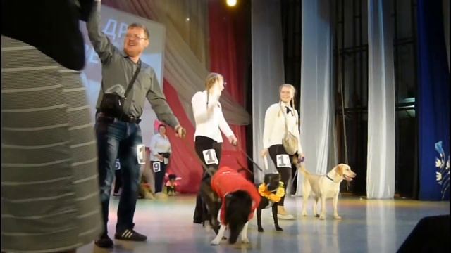 Турнир по поеданию сосисок смотреть онлайн