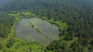 Дурнаяр хквезва (Диде) - Гашум Мурсалов