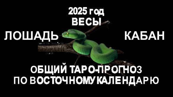 ОБЩИЙ ТАРО-ПРОГНОЗ НА 2025 ГОД ПО ВОСТОЧНОМУ КАЛЕНДАРЮ. ВЕСЫ, (ЛОШАДЬ-КАБАН)