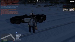 Grand Theft Auto V 2024.12.29 - 03.19.43.01