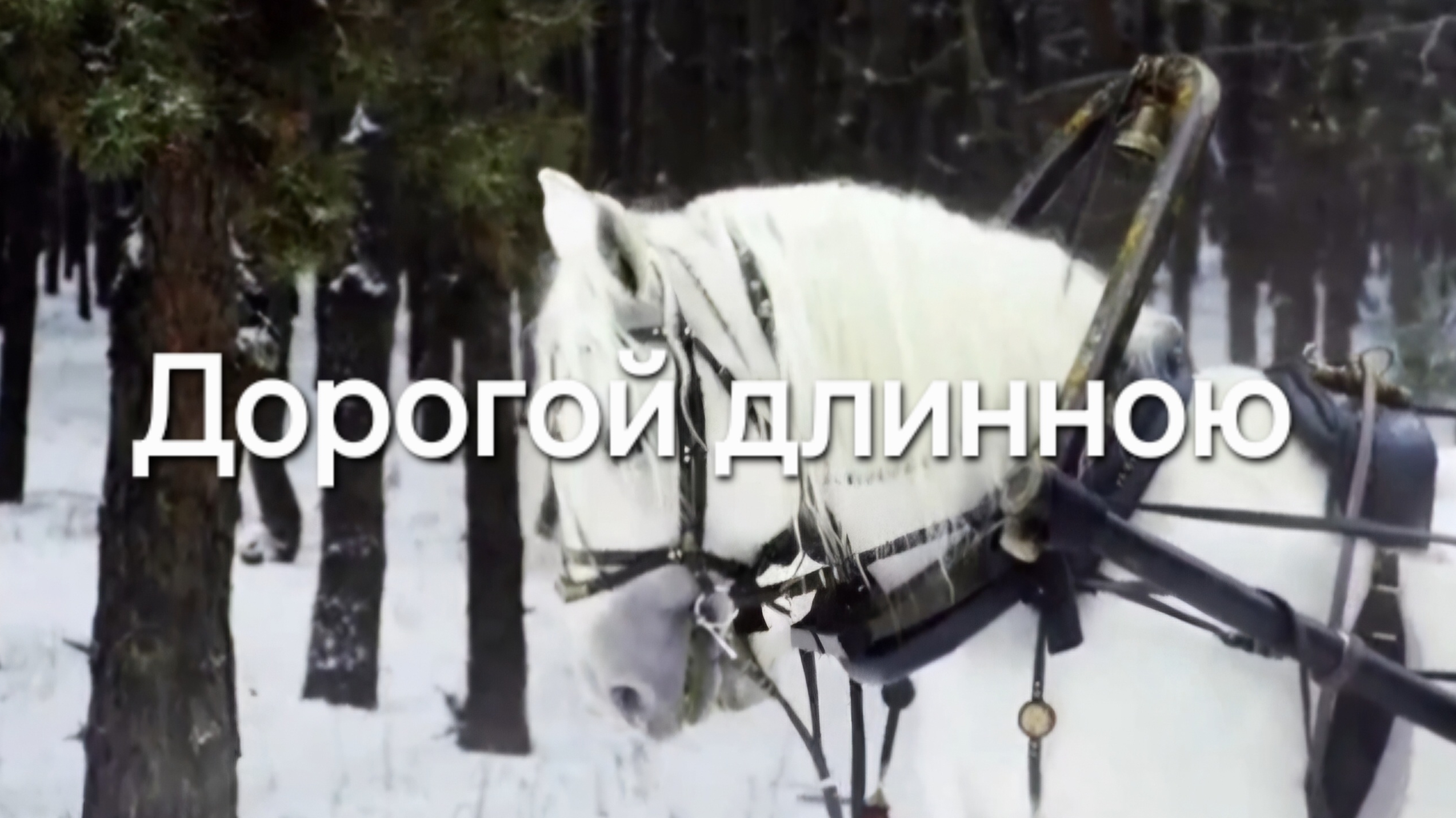 Дорогой длинною