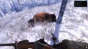 охота на Бизона