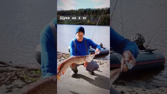 Щука на 8кг