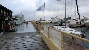 Звуки в морском порту Одессы.