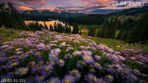 908 Ураган 2024 г.