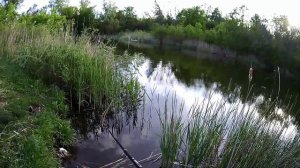 Снова бегаю со спиннингом