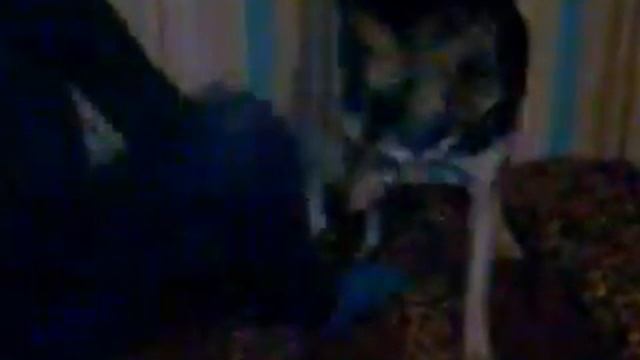 Милая борьба с собакой смотреть онлайн