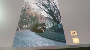 Мем из тик тока Tik Toka