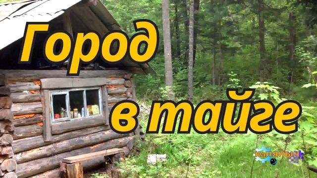 1169 - Город в тайге смотреть онлайн
