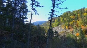 Водопад БЕРЕНДЕЙ. Золотая Осень. Там где растёт Бадан. Тайга Приморская Уссурийская.