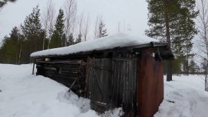 ЗАПОЛЗ В ИЗБУ И ДУХ ЗАХВАТИЛО. ОБАЛДЕЛ ОТ УВИДЕННОГО В ЗАБРОШЕННОЙ ИЗБУШКЕ. ТАЁЖНАЯ ИЗБА В ГЛУШИ