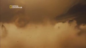 National Geographic  Самые опасные животные мира. Амазония.