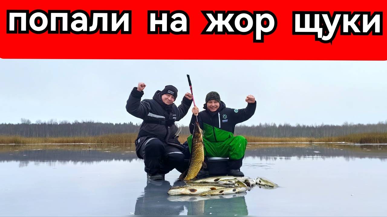 Жор щуки. Нашли щучью тропу. Хорошая рыбалка.