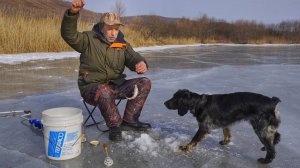 Зимний Гольян. Рыбалка на реках Приморского края. Зимняя подлёдная рыбалка в Приморье.