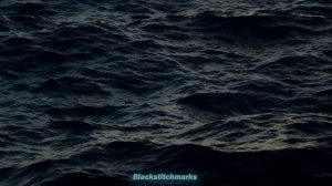 BrunOG - Nuestra Canción (Letra / Lyrics)