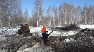 Самодельный трактор "Железный дровосек"17 Деляна 6