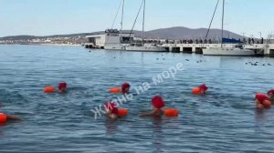 😊 Геленджикские моржи и моржи из Анапы отметили Новый год традиционным заплывом