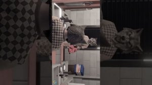 Паша флэйзин