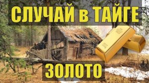 СЛУЧАЙ в ТАЙГЕ ВЫЖИТЬ ПРОМЫСЕЛ РУЧНАЯ ДОБЫЧА ЗОЛОТА ИЗБУШКА ОХОТНИКА ОДИН НАХОДКА ЖИЗНЬ В ЛЕС