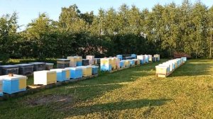 Наши новости (20.06.2021)