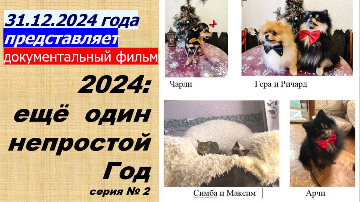 2024: ещё один непростой год смотреть онлайн