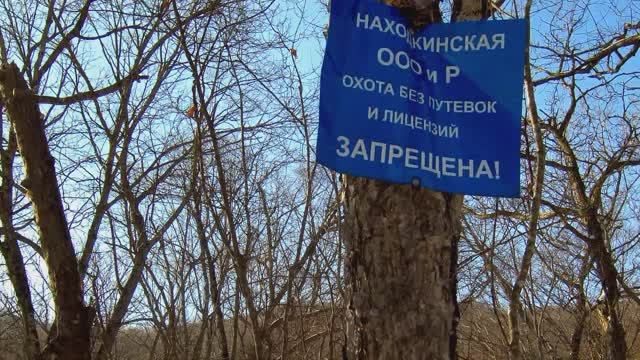 УШЁЛ в ТАЙГУ к Амурским тиграм с Новым Защищённым смартфоном.