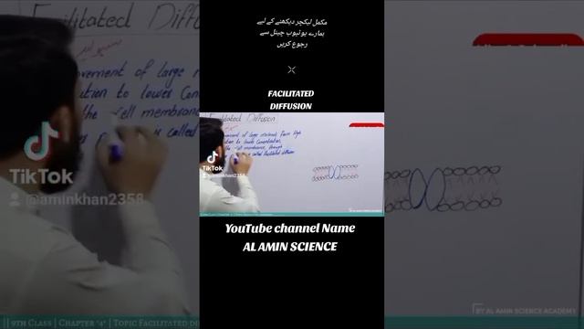 FACILITATED DIFFUSION смотреть онлайн