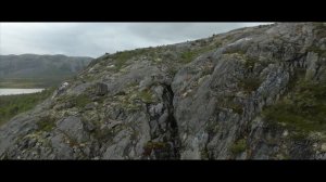 1 день в лесу