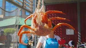 Фестиваль Russian Grill Fest 2024 в бизнес-квартале АРМА ч.2 (25.05.2024)