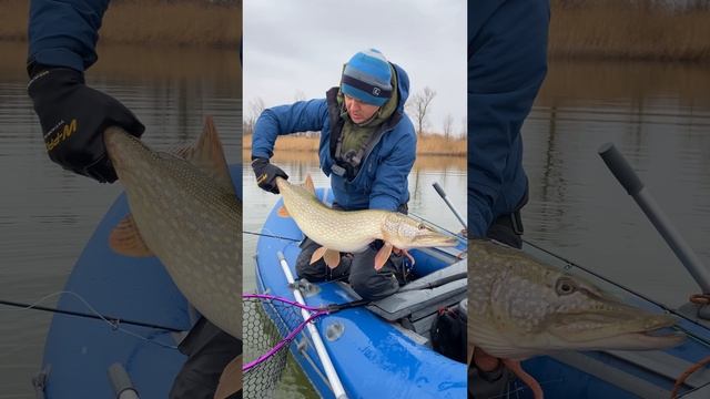 Ловля ЩУКИ ЗИМОЙ нахлыстом на стримеры.