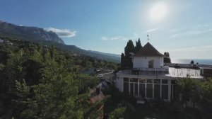 Отчет за 2024 год